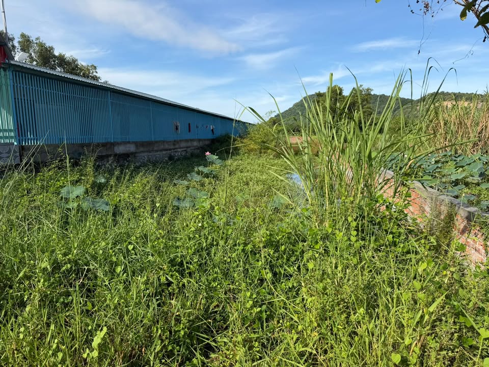 Đất nền mặt tiền đường Nam Kỳ Khởi Nghĩa, Tri Tôn, 600m² - Đầu tư sinh lời hấp dẫn!