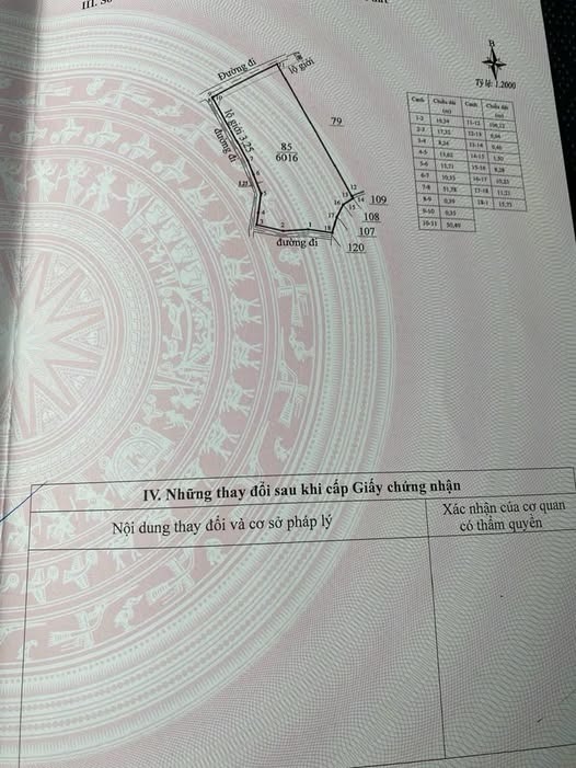 Đất N'Thol Hạ, Đức Trọng 6000m² giá 4.8 tỷ - Cơ hội đầu tư hấp dẫn!