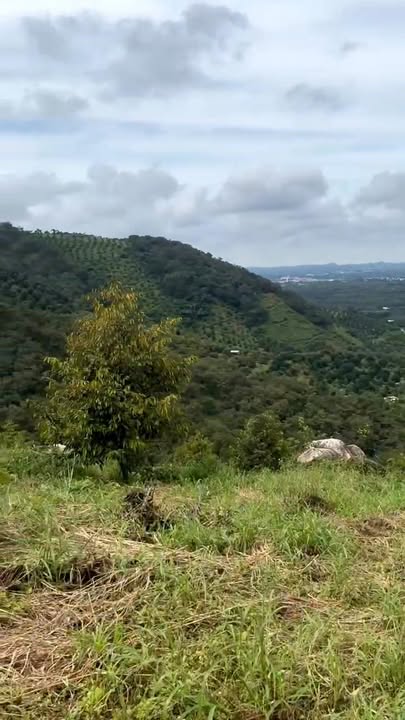 Đất rẫy Đa Kai 26,400m² giá 2 tỷ - Sổ hồng chính chủ sẵn sàng!