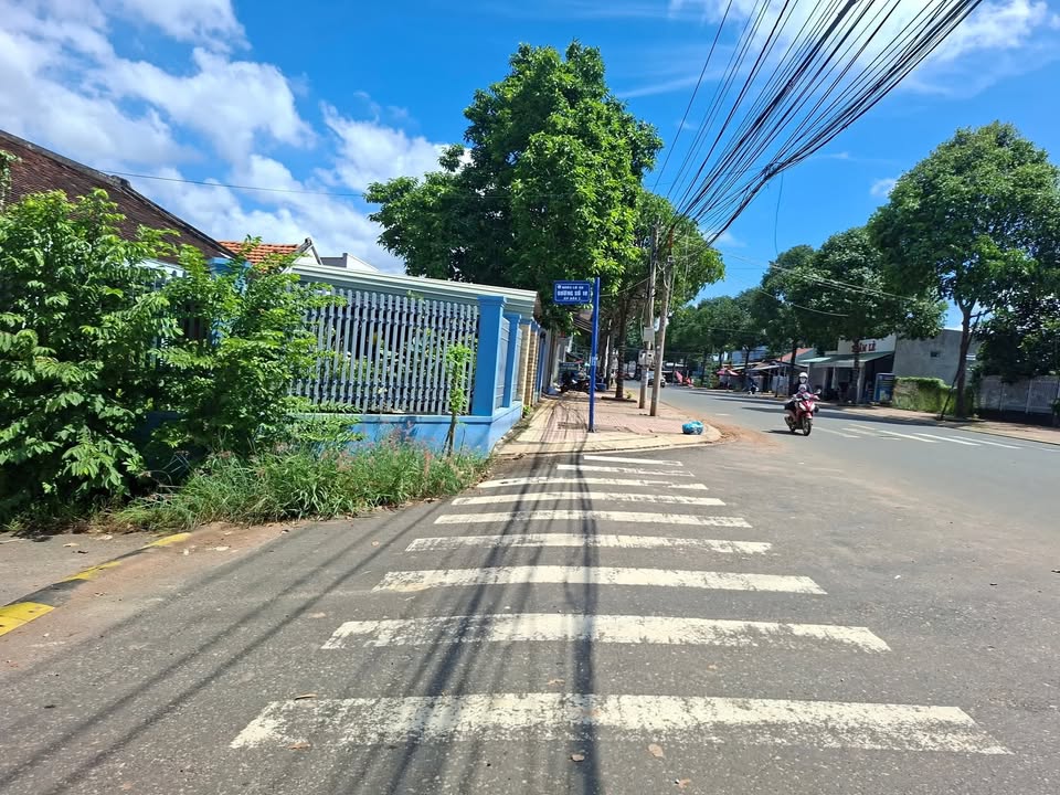 Biệt thự nhà vườn Hoà Long 450m² giá 3 tỷ - Nhà mới đẹp, ô tô vào tận nơi!