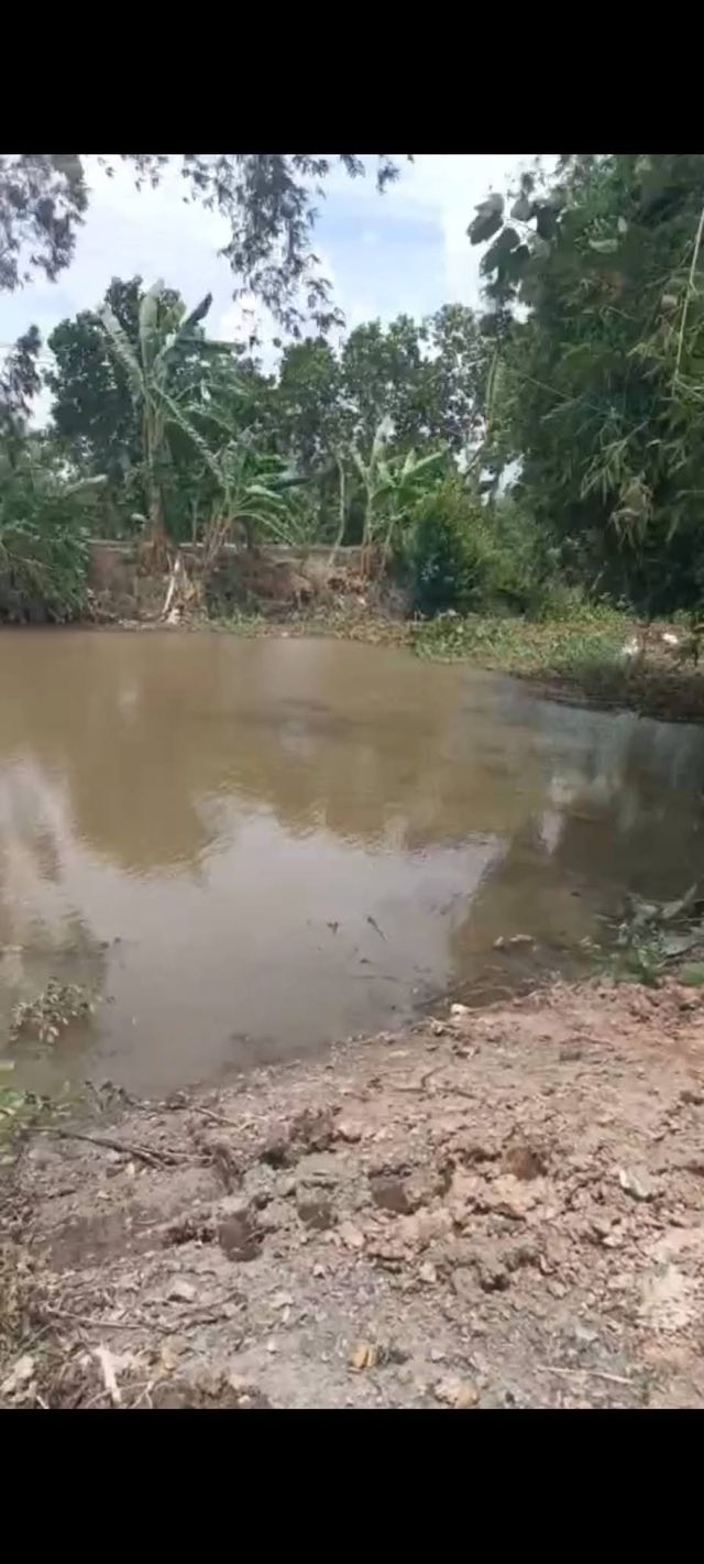 Đất farm Phú Hiệp, Tam Nông, Đồng Tháp 72.000m² - Giá đầu tư hấp dẫn 12.96 tỷ!