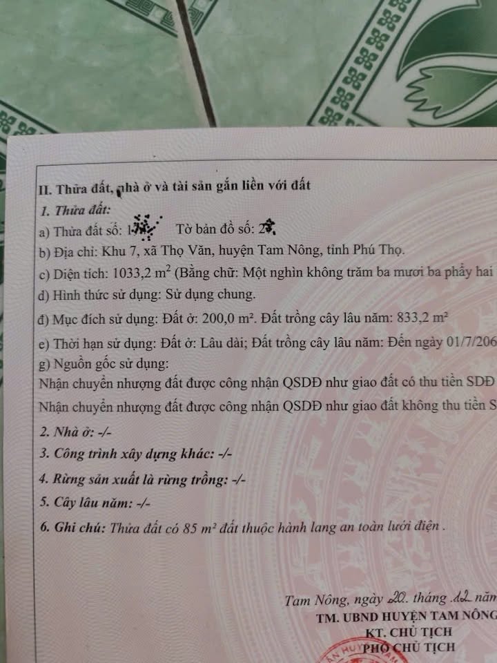 Đất thổ cư 1033m² Khu 7 Thọ Văn, Tam Nông - Giá chỉ 2 tỷ - Sẵn sàng giao dịch!
