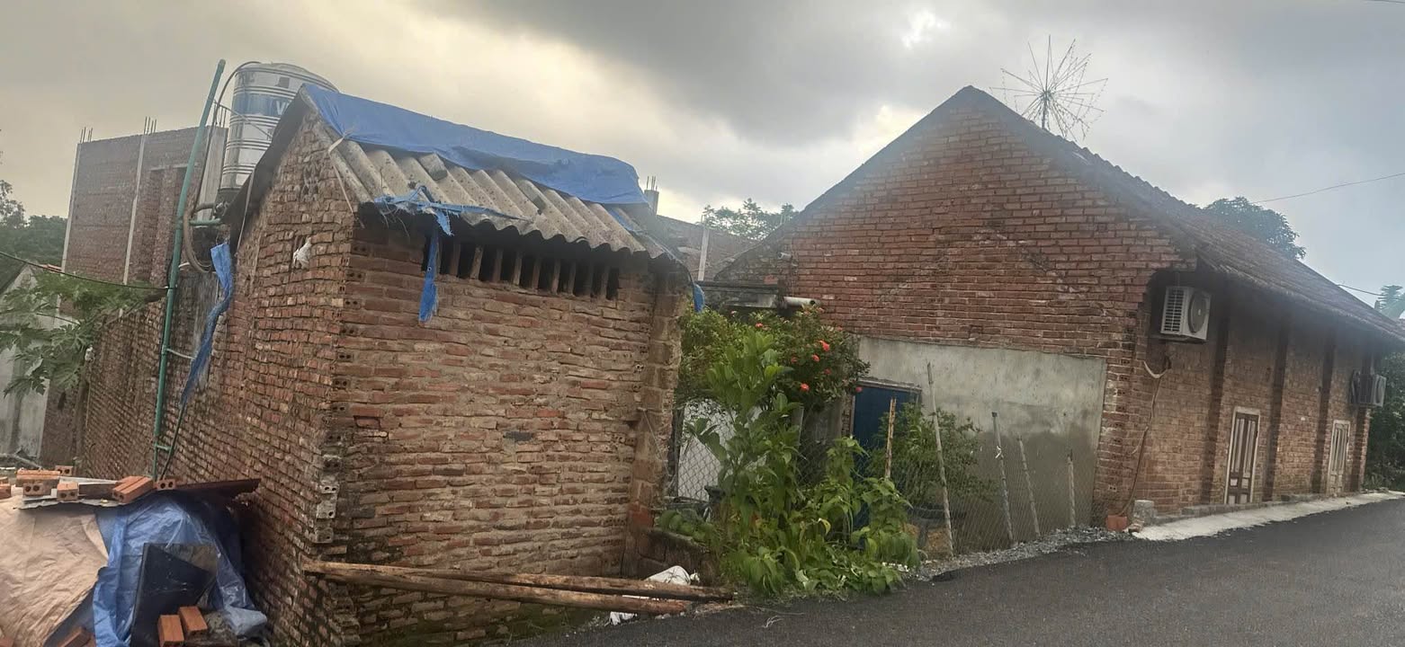 Đất nền khu 5 Thanh Đình, Việt Trì 137m² giá 1.3 tỷ - Cơ hội đầu tư sinh lời!