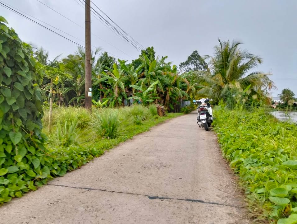 Đất nền xã Giục Tượng - Châu Thành, Kiên Giang 115m² - Giá tốt cho đầu tư!