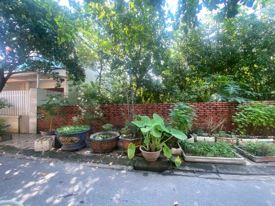 Đất nền đường Nguyễn Tất Thành, Việt Trì 145m² giá 8.845 tỷ - Kinh doanh hiệu quả!