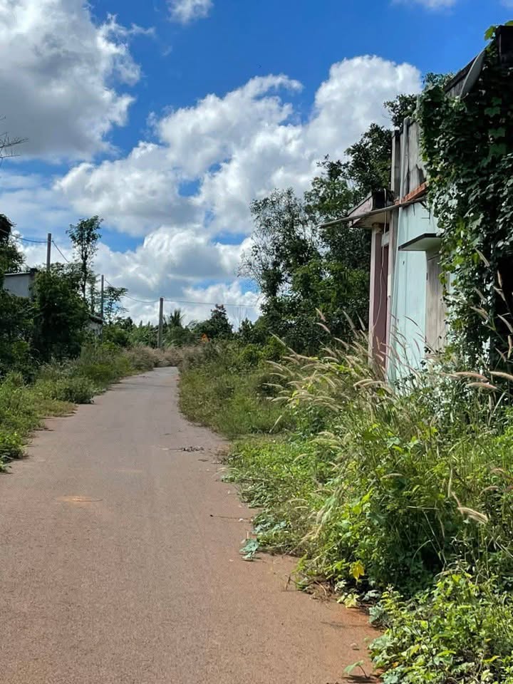 Đất thổ cư Bàu Chinh 1590m² giá 1.59 tỷ - Đầu tư sinh lời tốt!