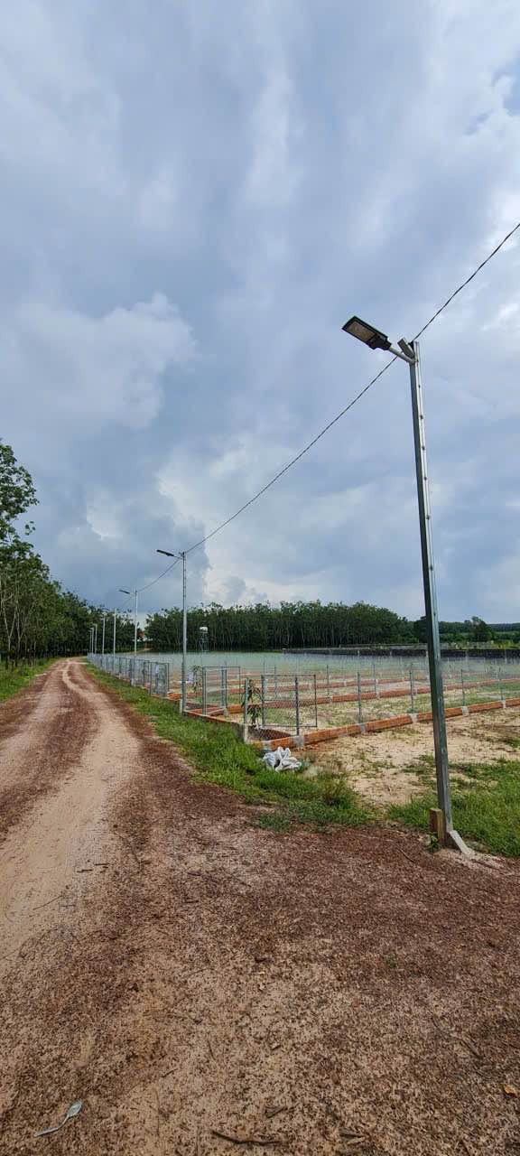 Đất nền Bàu Sen, Tây Ninh 125m² chỉ 249 triệu - Sổ hồng riêng, công chứng liền tay!