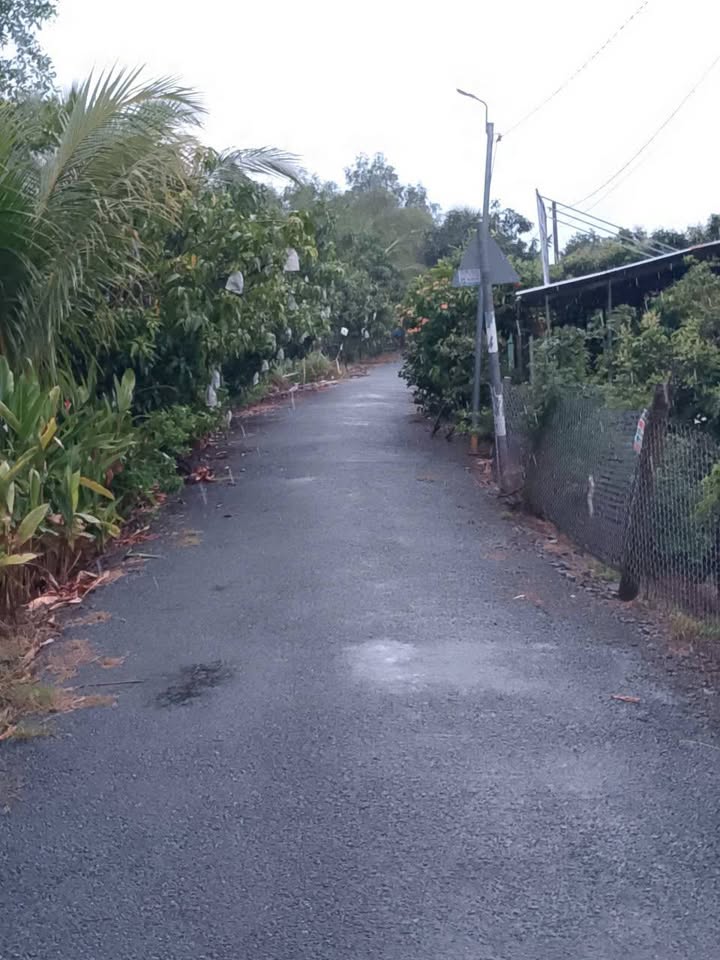 Đất vườn 1400m² mặt tiền 23m tại Bình Mỹ B - Giá chỉ 1.1 tỷ VND!