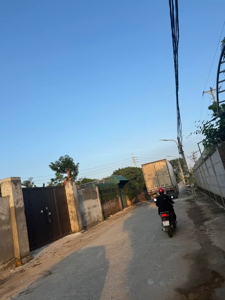 Đất trồng cây 300m² tại Song Phương, Hoài Đức - Giá chỉ 10 triệu/m²!