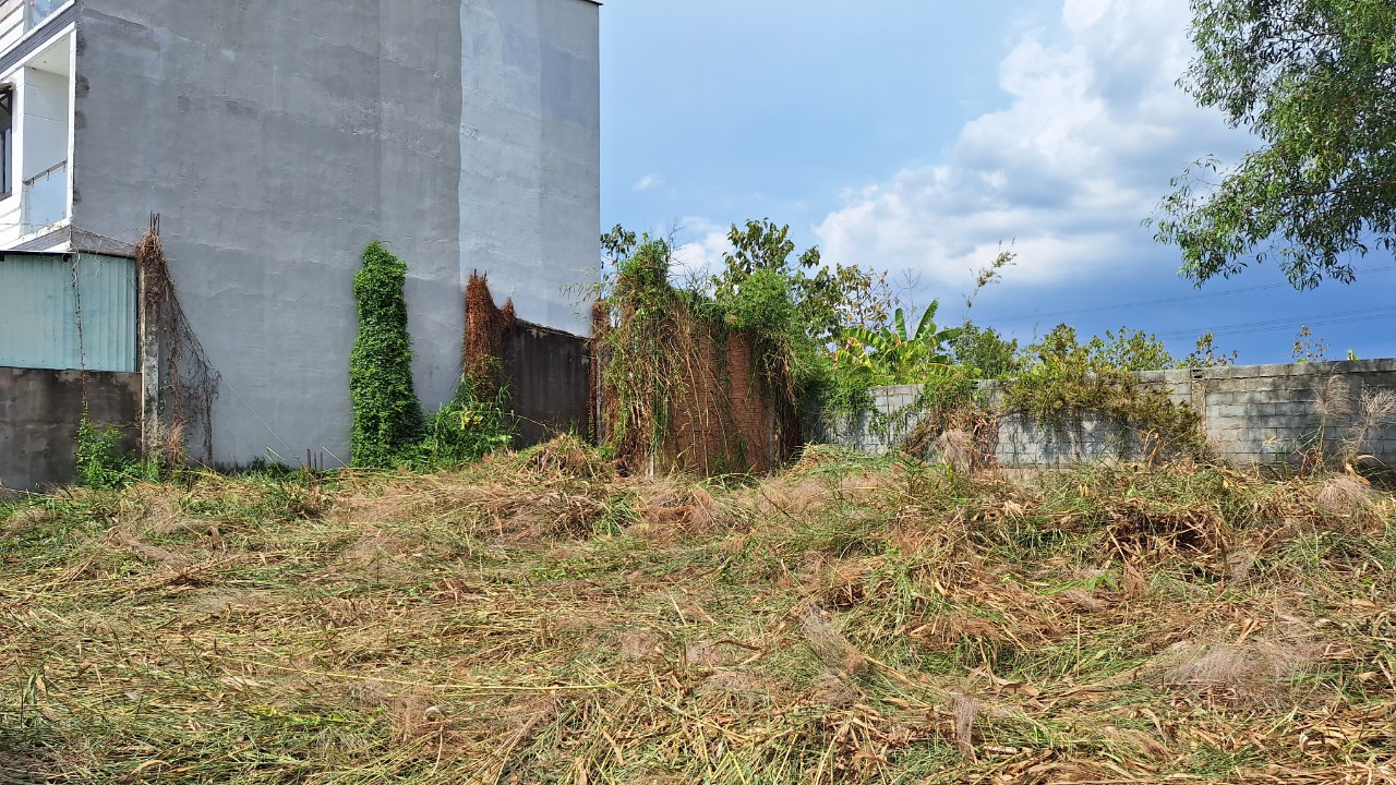 Đất nền đường Nguyễn Bình, xã Nhơn Đức 223m² giá 5.5 tỷ - Sổ hồng chính chủ