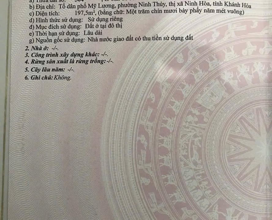 Đất nền chính chủ Khu tái định cư Mỹ Lương, Ninh Hòa 197.5m² - Giá chỉ 15 triệu/m²!