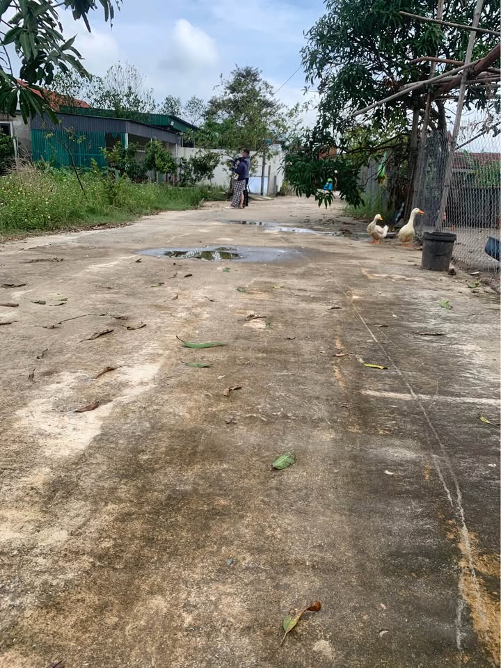 Đất nền Nghi Phong, Vinh 158m² - Khu vực sầm uất, giao thông thuận lợi!