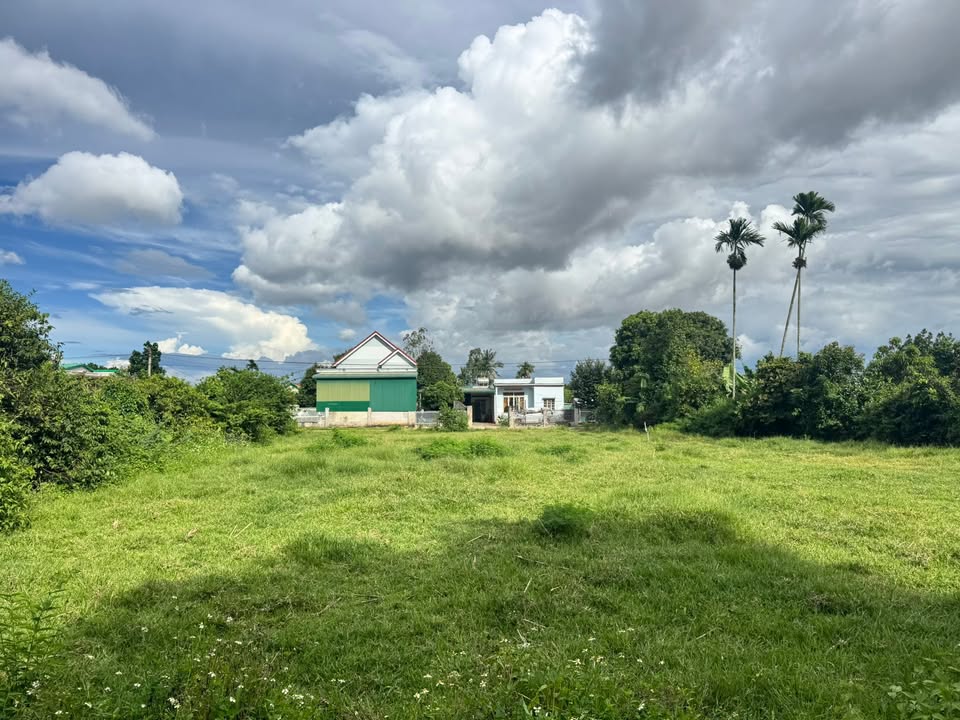 Đất nền xã Ea Kly, huyện Krông Pắc, 496m² giá chỉ từ 700 triệu - Đầu tư sinh lời ngay!