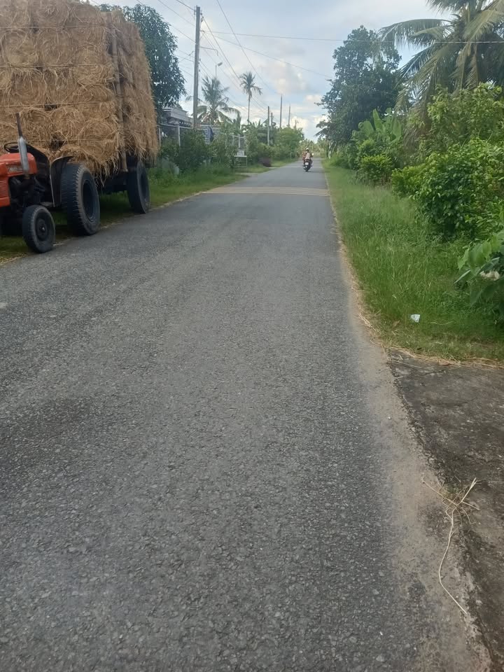 Bán đất mặt tiền lộ nhựa Mỹ Hoà, Ba Tri, Bến Tre - 311m² giá 620 triệu - Đầu tư sinh lời ngay!