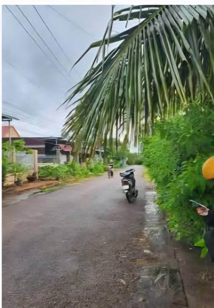 Đất mặt tiền hẻm 91 Tiến Hưng, Đồng Xoài - 225m² chỉ 1.2 tỷ - Đầu tư sinh lời!