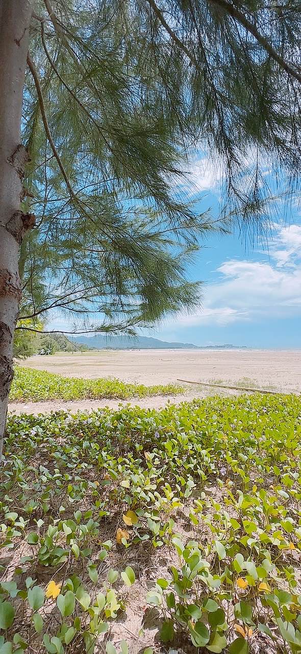 Đất nền giá rẻ tại Phước Hưng - 98m² chỉ 1.55 tỷ - Cách biển 150m!