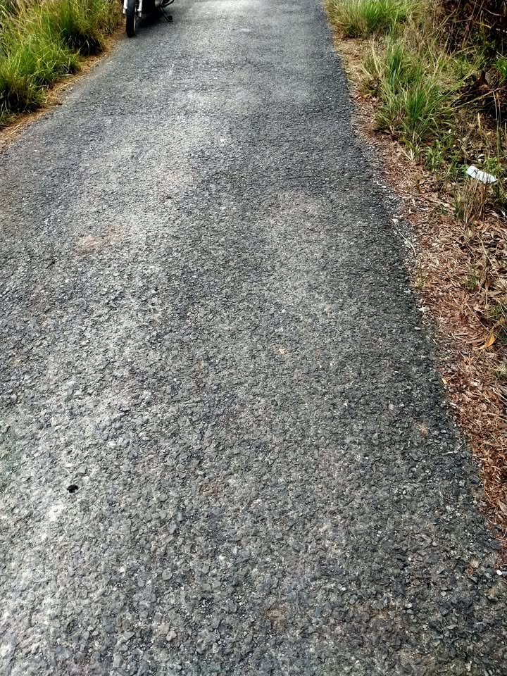 Đất nền Tân Hòa Đông, Tiền Giang 7000m² giá chỉ 2.2 tỷ - Đầu tư sinh lời ngay!