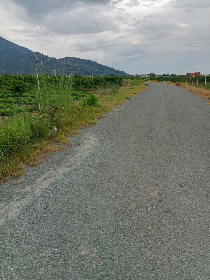 Đất thổ cư Thạnh Tân 1056m² giá 100 triệu - Cần bán gấp chính chủ!