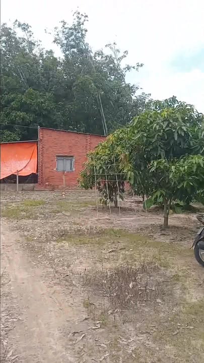 Đất mặt tiền Nhựa Thanh Bình, An Bình 1000m² giá 400 triệu - Cơ hội đầu tư không thể bỏ qua!