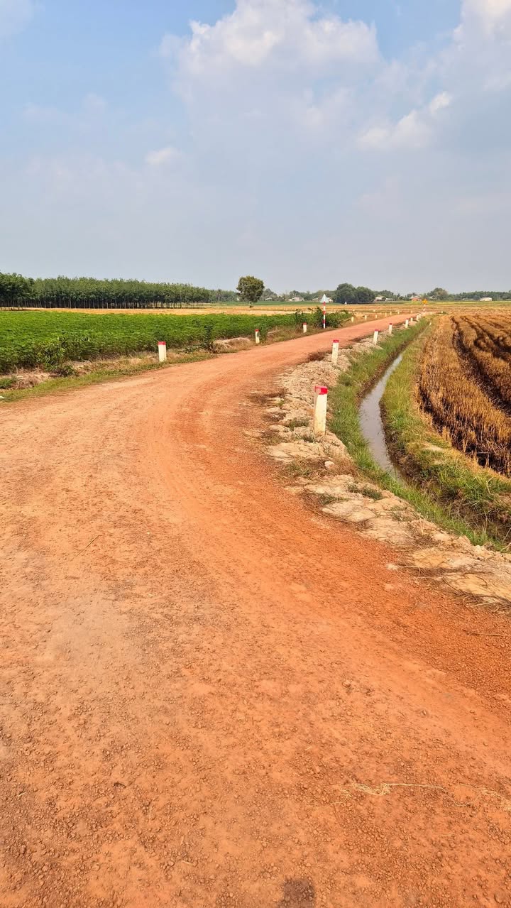 Đất nền 2 mẫu 20000m² tại Châu Thành, Tây Ninh - Giá chỉ 2 tỷ, cơ hội đầu tư tuyệt vời!