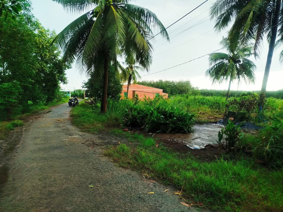 Đất thổ cư mặt tiền nhựa Thạnh Bình, Tân Biên 200m² giá chỉ 180 triệu - Đầu tư sinh lời ngay!