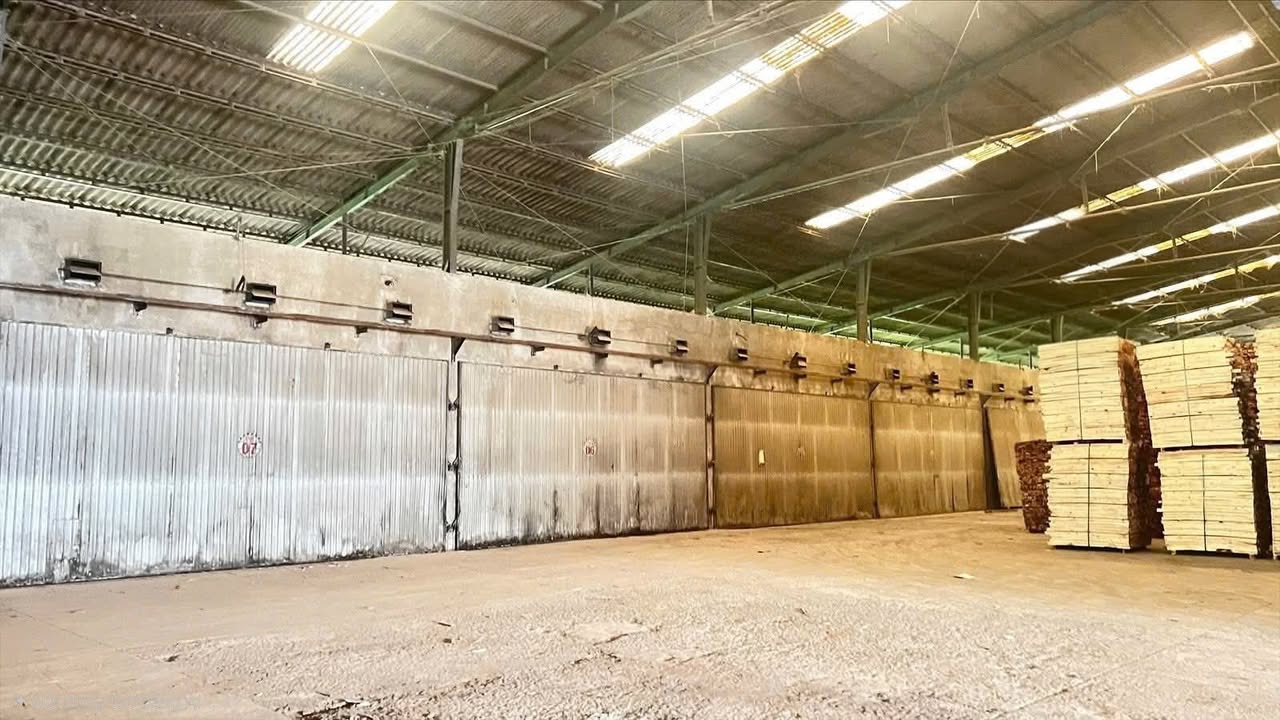 Cho thuê nhà xưởng Biên Hòa 3000m² giá 90 triệu - Sẵn sàng hoạt động ngay!