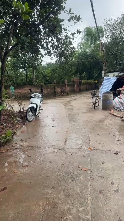 Đất nền Xuân Đình Phúc Thọ 95m² giá 2 tỷ - Sổ đỏ chính chủ, mặt tiền 5m!