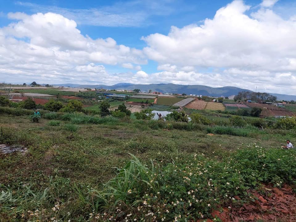 Đất nền xã Phú Hội, huyện Đức Trọng 58.000m² giá 4,5 tỷ - Mặt tiền gần 100m