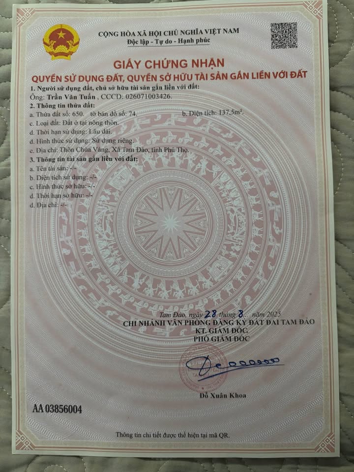 Đất nền thổ cư 137,5m² tại Chùa Vàng, Minh Quang, Tam Đảo - Đầu tư sinh lời tốt!