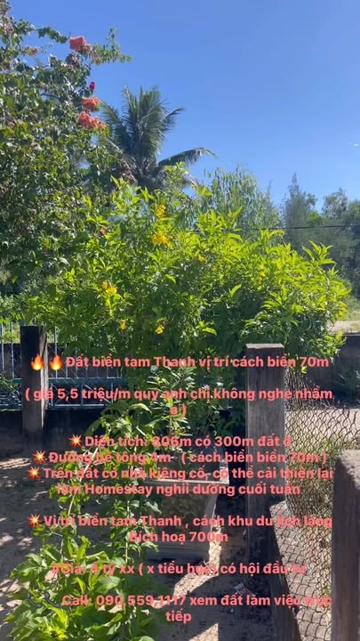 Đất biển Tam Thanh 806m² giá chỉ 4 tỷ - Cách biển 70m, đầu tư sinh lời!