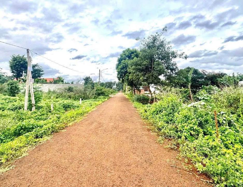 Lô đất mặt tiền đường D6, phường Tân An, 285m² giá 1.37 tỷ - Cơ hội đầu tư hấp dẫn!