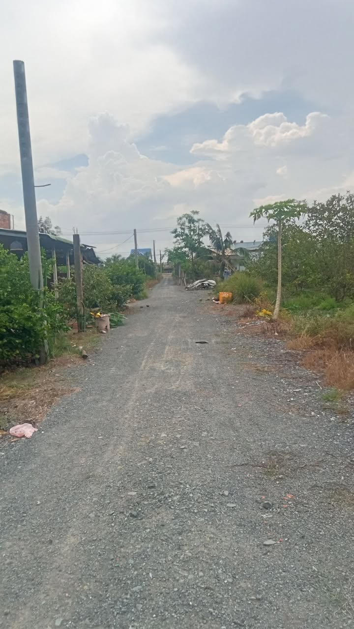 Đất vườn 4700m² xã Thạnh Hòa, Bến Lức - Sổ đỏ chính chủ, giá 4.468 tỷ VND