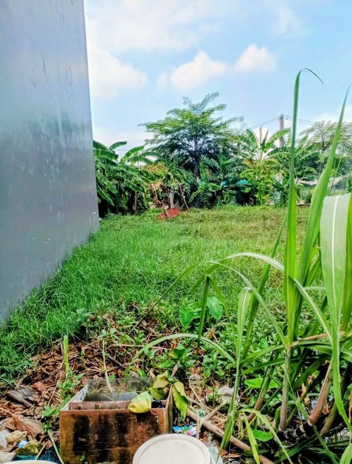 Đất thổ cư Mỹ Hạnh Nam, Đức Hòa, Long An 44m² giá 590 triệu - Chính chủ cần bán gấp!