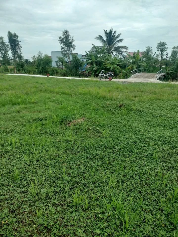 Đất nền Tăng Hoà Gò Công Đông 192m² giá 250 triệu - Cơ hội đầu tư lý tưởng!