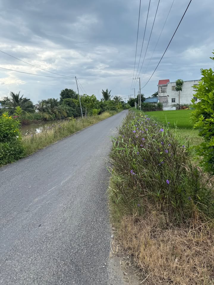 Đất thổ cư 264m² mặt tiền đường nhựa, Gò Công Tây - Giá chỉ 700 triệu!