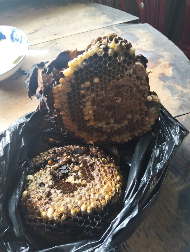 Đất nền Song Phú 5000m² giá 190 triệu - Cơ hội đầu tư tốt!