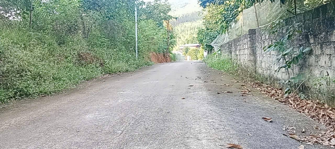 Đất thổ cư 517m² xã Lãng Công, Sông Lô, Vĩnh Phúc - Giá chỉ 1.5 tỷ!