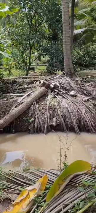 Đất Lộc Thuận, Bình Đại, Bến Tre 1870m² giá 1.76 tỷ - Pháp lý rõ ràng, dễ chia lô!