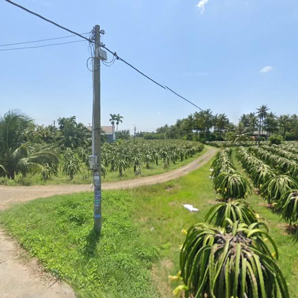 Đất thổ cư ở thôn Phú Sơn, 746m² giá 2 tỷ - Cơ hội đầu tư hấp dẫn!