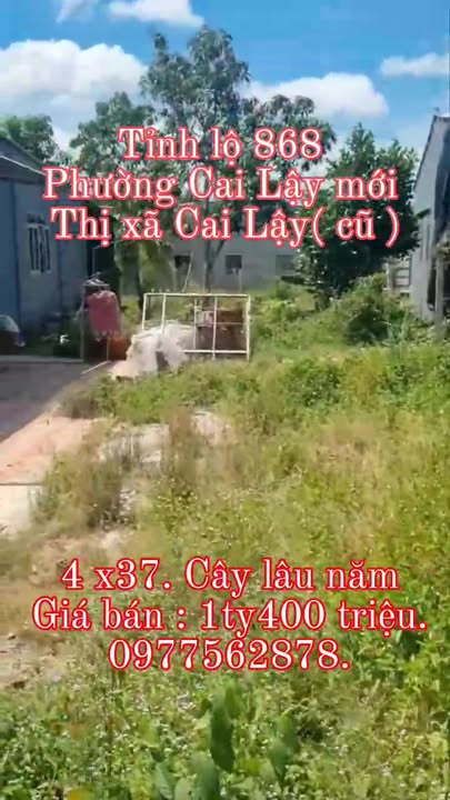 Đất nền mặt tiền tỉnh lộ 868, Long Khánh, Cai Lậy 148m² giá 1.4 tỷ - Thương lượng trực tiếp với chính chủ!