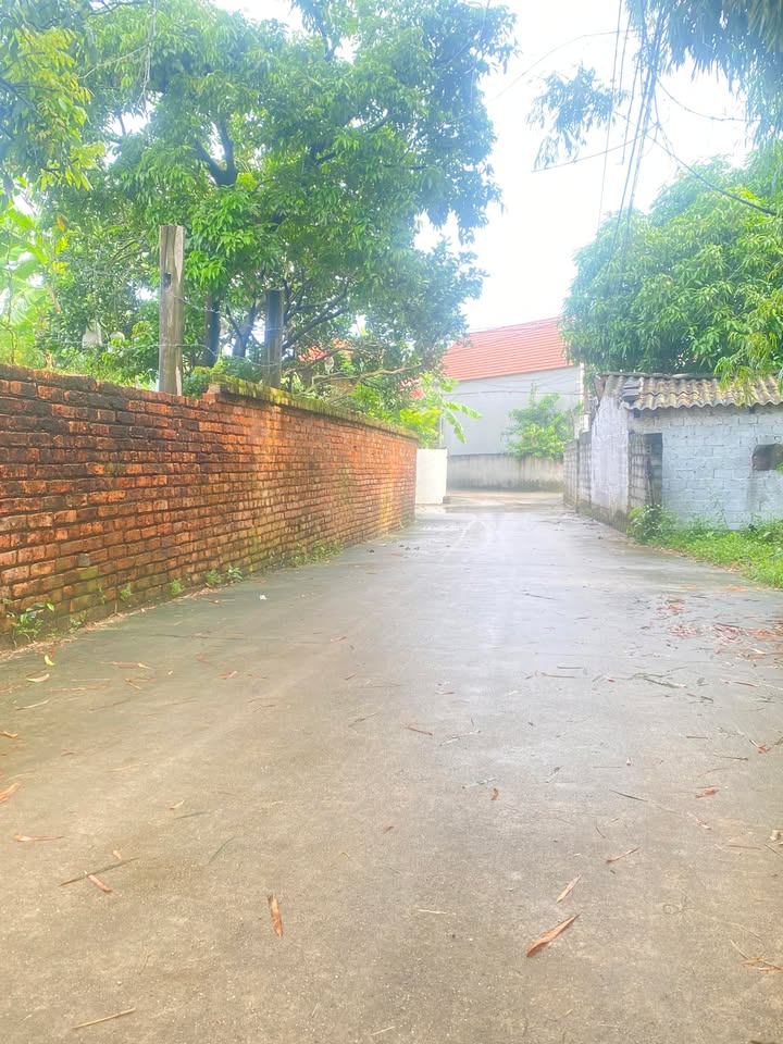 Đất nền xã Đồng Phúc 120m² giá 750 triệu - Cơ hội đầu tư sinh lời!