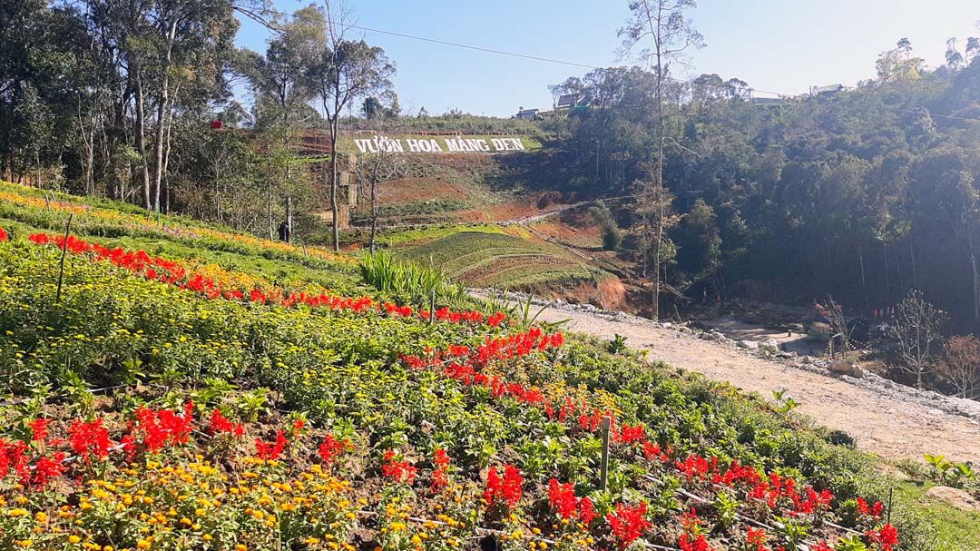 Đất Farm Tỉnh Lộ 676 Đăk Tăng 1733m² giá chỉ 300 triệu - Đầu tư sinh lời lý tưởng!