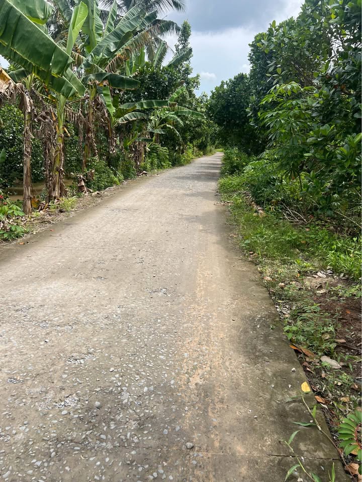 Đất thổ cư xã Phú Hữu 130m² giá 390 triệu - Sổ hồng chính chủ!