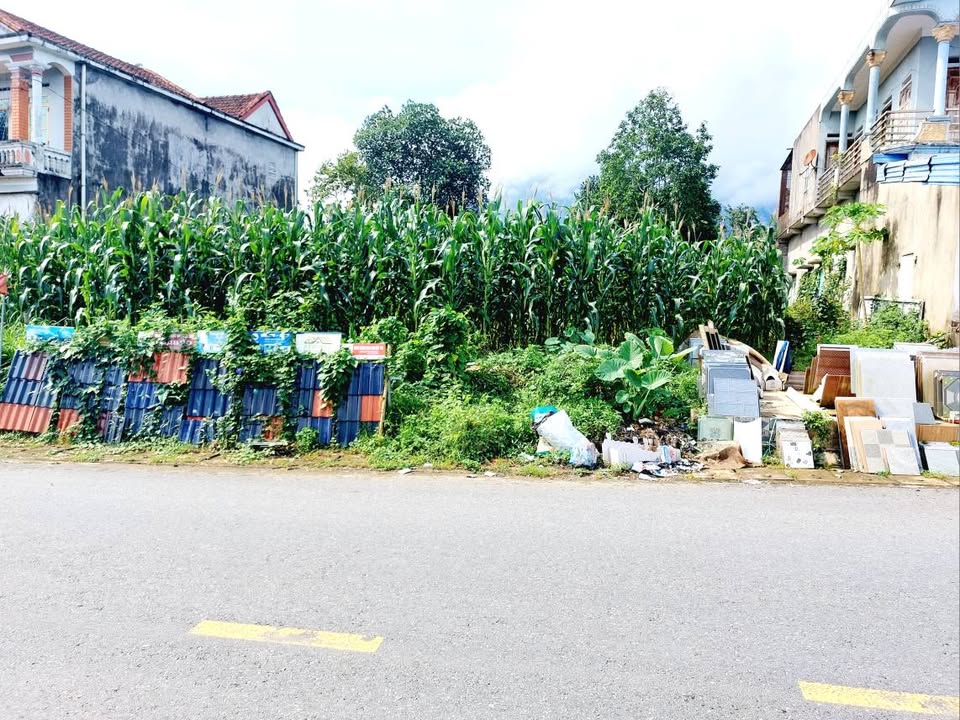 Đất nền Cát Nê, Đại Từ, 120m² chỉ 1 tỷ - Vị trí đẹp, kinh doanh sầm uất!