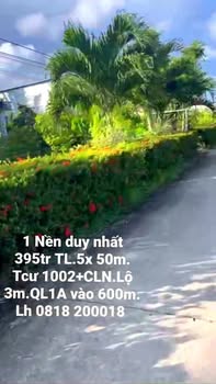Đất nền Thạnh Phú Cà Mau 100m² giá 395 triệu - Vị trí đắc địa gần QL1A!