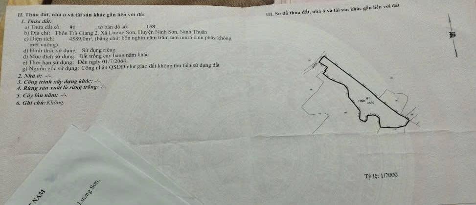 Đất HNK Thôn Trà Giang 2, Ninh Sơn 10.000m² giá 500 triệu - Sổ hồng chính chủ!