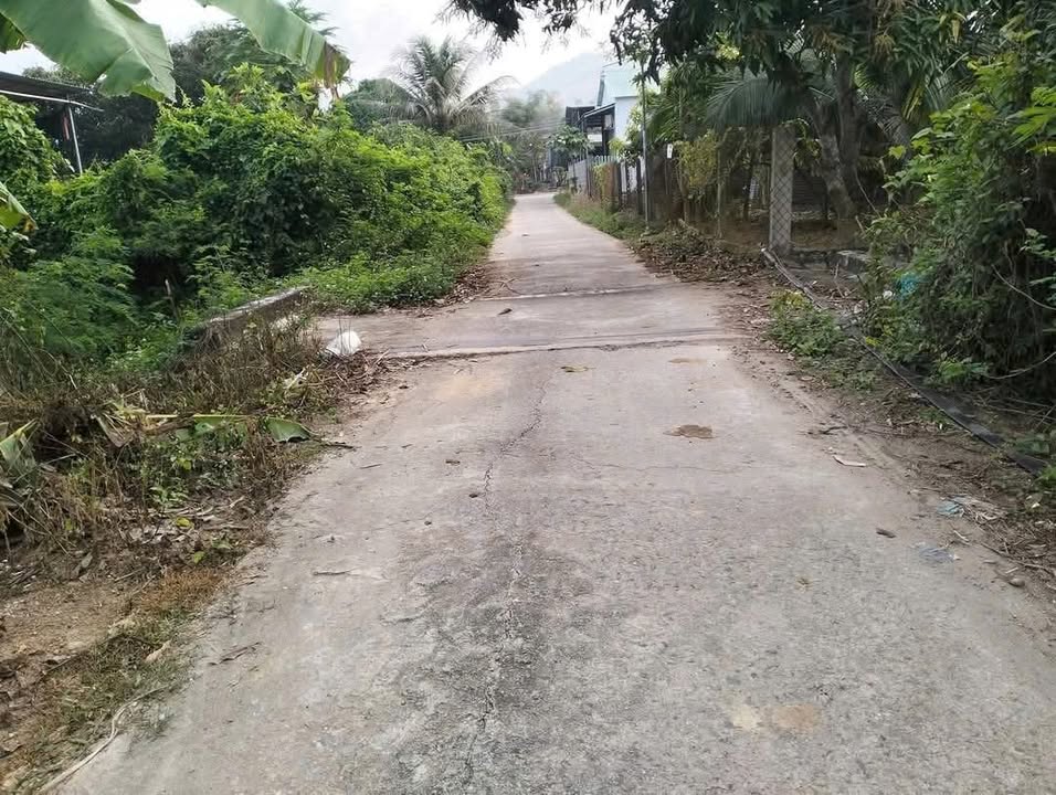 Đất thổ cư Diên Phước, Diên Khánh 199m² giá chỉ 995 triệu - Hướng Đông mát mẻ!