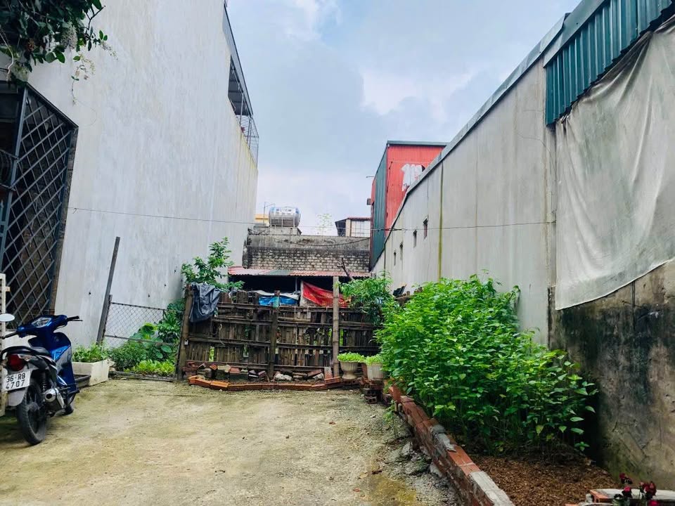 Lô đất đẹp ngõ Lê Thần Tông, phường Đông Vệ, TP. Thanh Hóa 97.5m² giá 2 tỷ - Cơ hội đầu tư hấp dẫn!