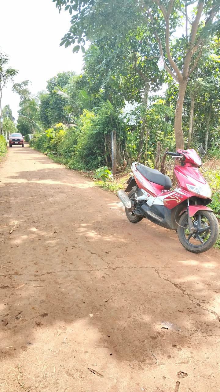 Đất thổ cư Thôn 6, Cư Êbur 240m² giá chỉ 1.95 tỷ - Đầu tư sinh lời ngay!