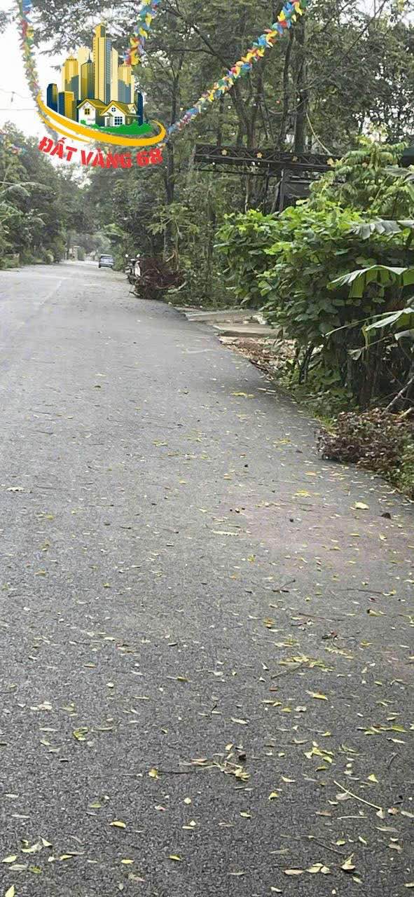 Đất nền KDC Tổ 11 Nam Sơn, Tam Điệp 90m² giá 1 tỷ - Đầu tư sinh lời dễ dàng!